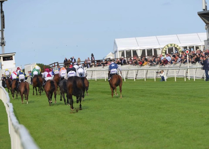Bellewstown Races marquee