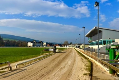 Clonmel Greyhound Stadium