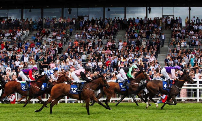 Curragh Racecourse action shot