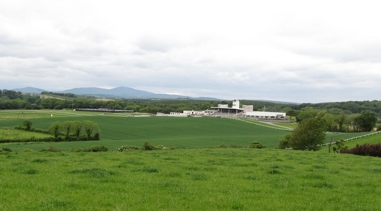 Downpatrick Racecourse