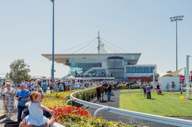 Dundalk Stadium horses and grandstand