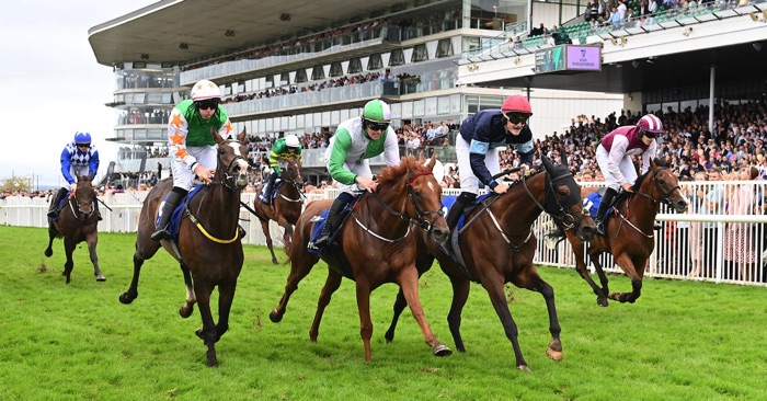 Galway Races racing