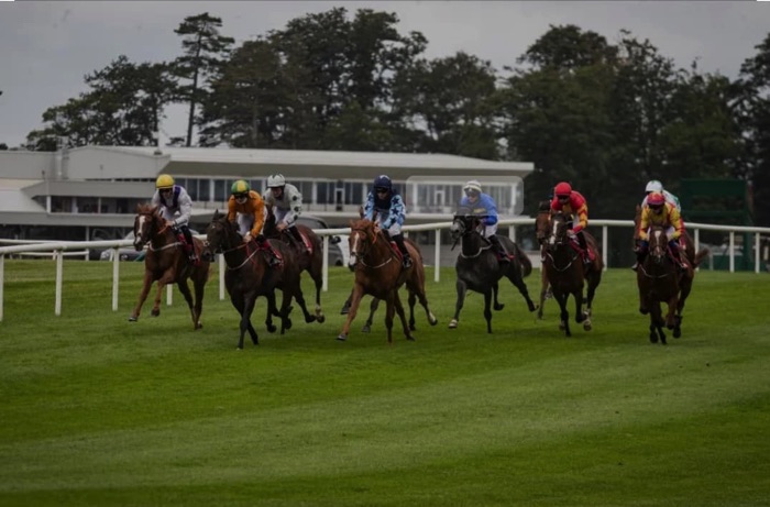 Gowran Park horse racing
