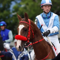 Jockey and horse