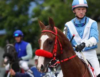 Jockey with horse