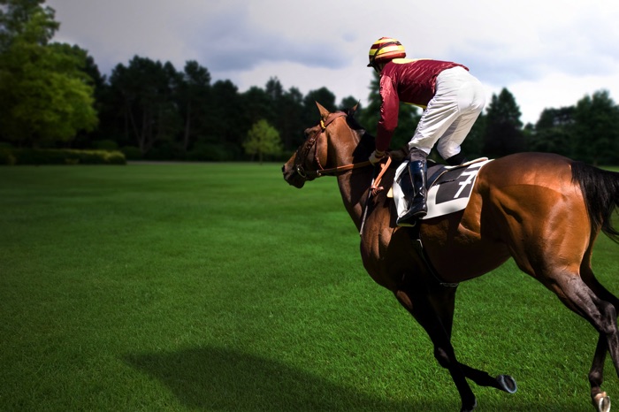 Horse with jockey racing