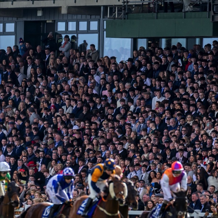 Hospitality and racing at Fairyhouse