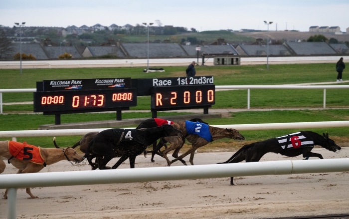 Kilcohan Park Greyhound Stadium greyhounds racing