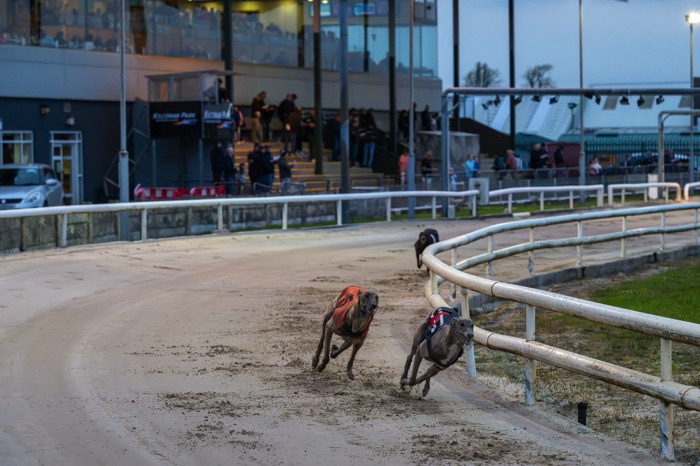 Kilcohan Park Greyhound Stadium greyhounds racing