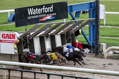 Kilcohan Park Greyhound Stadium in Waterford