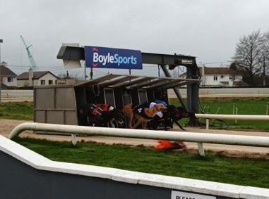 Kilkenny Greyhound Stadium