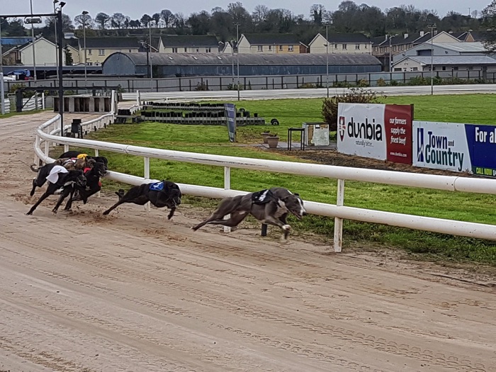 Longford Greyhound Stadium greyhounds racing