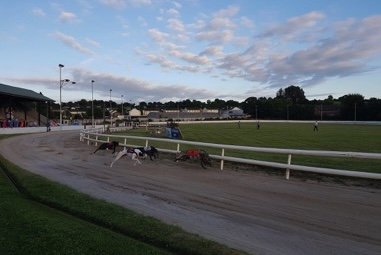 Longford Greyhound Stadium greyhounds racing