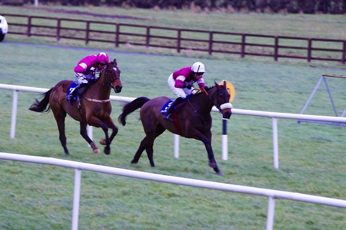 Naas Racecourse Track