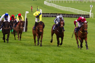 Naas Racecourse