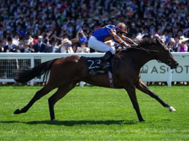 Navan Racecourse jockey