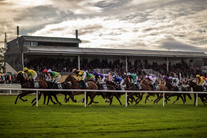 Navan Racecourse racing