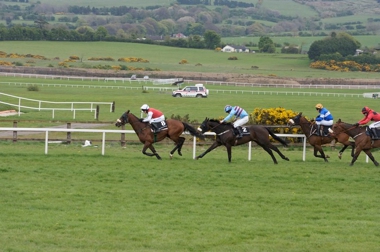 Punchestown Racecourse