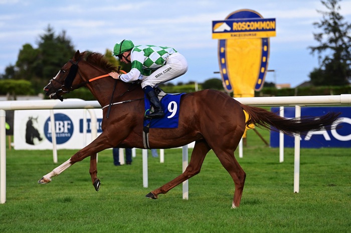 Roscommon racing