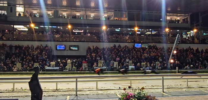 Shelbourne Park Greyhound Stadium stands