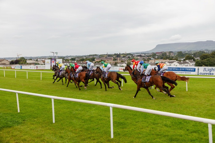 Festival racing at Sligo