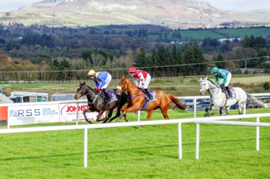 Sligo Races