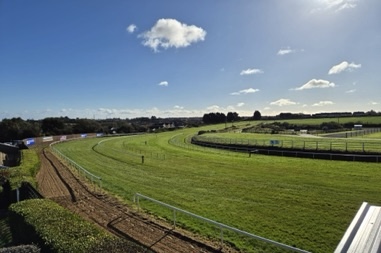 Wexford Racecourse
