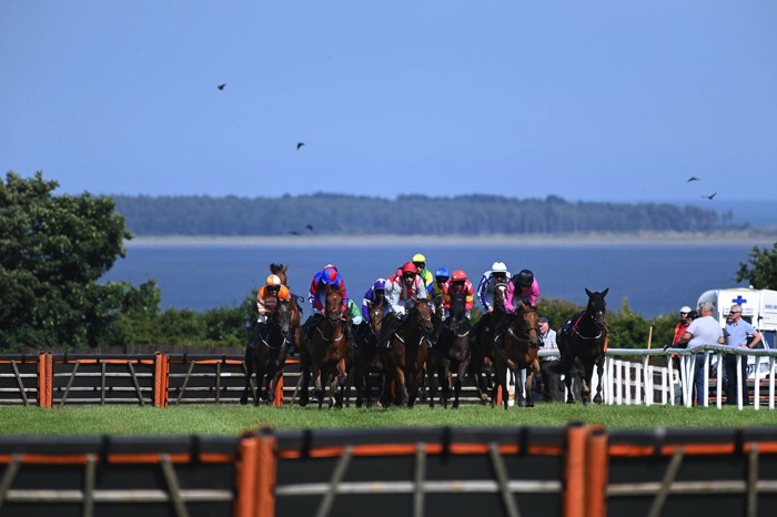 Wexford racing